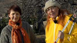 Kev&auml;tleikkaukset. Kuva: Filmiteollisuus