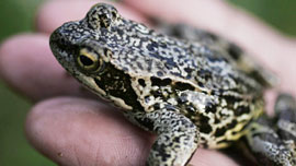 Ihmettelev&auml;n oppimisen puolesta. Kuva: Satu Pirinen