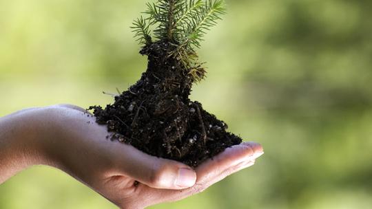 Luonto tasapainottaa kehon ja mielen. Kuva: Marnie Burkhart, Yle