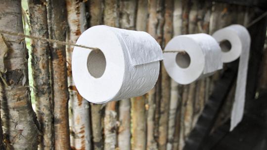 Ristomatti Ratia: Koivusaari. Kuva: Tuomo Eerikäinen / Linkkumylly