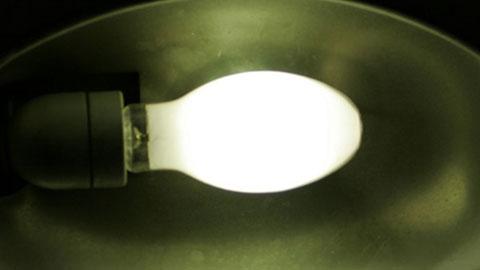 Valot saamuvat maapallon hyväksi. Kuva: Satu Pirinen