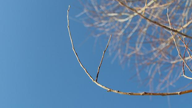 "Sininen on taivas ja siniset on silmänsä sen". Kuva: Ada Pykäläniemi