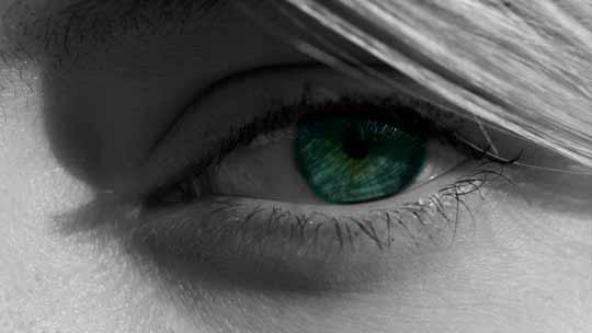 Uskallatko ottaa (katse)kontaktia? Kuva: stock.xchng