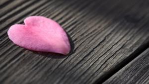 Miehen valinta. Kuva: stock.xhng