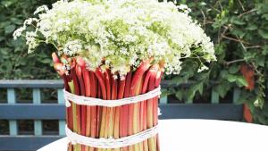 Raparperi koristaa kukkamaljakon. Kuva: Ulla Vuorela