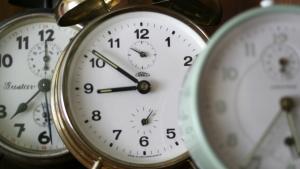 Olisiko päiväunien aika? Kuva: Henna-Leena Kallio