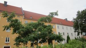 Satoa kaupungissa. Kuva: Reetta Arvila