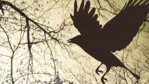 Lastenpsykiatri Janna Rantala: Peloista. Kuva: Dimitri Castrique, stock.xchng