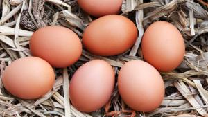 Onko luomu sittenkään parasta? Kuva: Robert Michie, stock.xchng