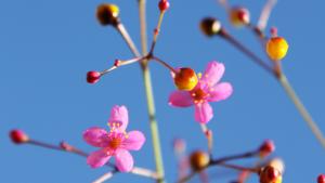 Lupa käydä vieraissa! Kuva: stock.xcnhg