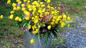 Luonnonkukkakimppu kestää hyvin, kun se kylmäkäsitellään ensin. Kuva: Tarja Saariniemi, YLE