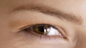 Kulmakarva. Kuva: Comstock