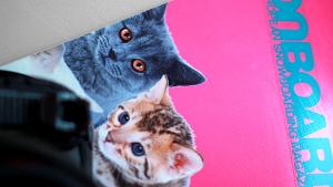 Periksiantamattomuudesta. Kuva: Siiri Huttunen