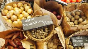 Luomua. Kuva: Viivi Lehtonen