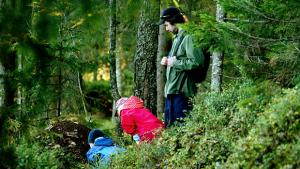 Vie lapsi luontoon! Kuva: Mika Kanerva, Yle