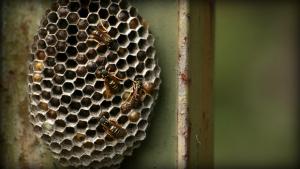 Työpaikalla työminän kanssa - miten olla hyvä työkaveri? Kuva: Stock.xchng, Paol