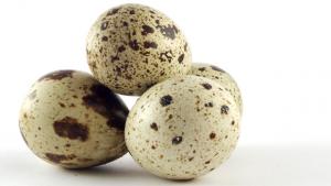 Lastenpsykiatri Janna Rantala: Samastumisesta. Kuva: stock. xchng