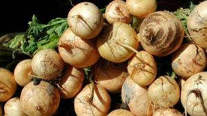 Naurista, puuroa ja laimennettua olutta – uusi hittidieetti? Kuva: Yle