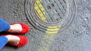 Omista juurista on tavoitteiksi. Kuva: Anni Alatalo, Yle Olotila.