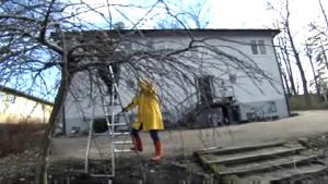 Omenapuun leikkaaminen ja jäkälän poisto