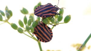 Parisuhde paremmaksi harjoitteilla. Kuva: Stock.xchng