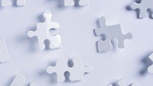 Mikä on palveluseteli ja kuka sellaisen voi saada? Kuva: Alex Bramwell, stock.xc