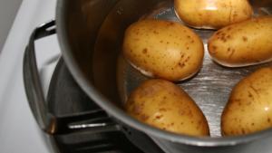 Lapsiperheen ruokailua kannattaa miettiä etukäteen. Kuva: Perunat. Eila Haikarainen, YLE Kuvapalvelu