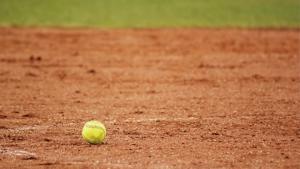 Pesäpallon peluu koukuttaa. Kuva: stock.xchng