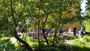 Pihakirppis. Kuva: Viivi Lehtonen