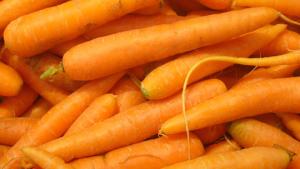Porkkanalaatikko. Kuva: Stock.xchng