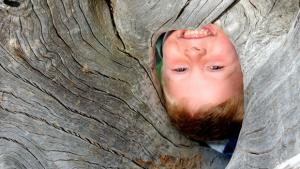 Lasten kanssa luontoretkeilyn ”mutkut” ja ”sitkut”. 