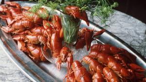 Rapujen keittäminen. Kuva: Pekka Elomaa, Yle.