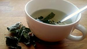 Omenaminttuteetä ja Yle Areenasta Emma. Kuva: Anni Alatalo, Yle Olotila