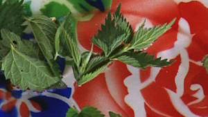 Nokkos-smoothie tuoreista nokkosista. Kuva: Strömsö