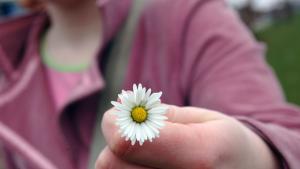 Kukkien kielellä. Kuva: stock.xchng, Stef Komen.