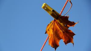 20 tapaa helpottaa äkillistä stressiä. Kuva: Siiri Huttunen, Yle Olotila