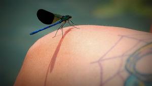 Yksi voidetuubi - monta käyttöä. Vinkkejä perusvoiteen käyttöön. Kuva: stock.x