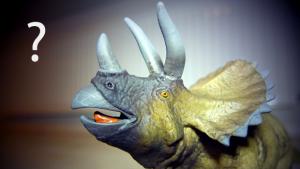 Kyselyikäiset lapset: elämänäi tietovisailun kilpailijana. Kuva: Joonas Reijonen