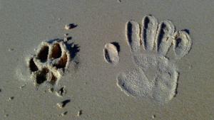 Pakkovalinta? Kuva: stock.xhng