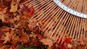 Puutarhan syystyöt, kuva: stock.xchng, Julia Freeman-Woolpert.