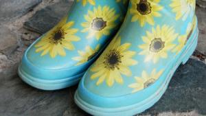 Värikkäät ovistopparit piristävät pihanäkymää. Kuva: Väne Väisänen