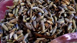 Tee se itse -kosmetiikka: Shampoo, hiushuuhde ja hiuskiinne. Kuva: Yle