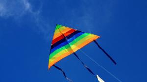 Loma. Kuva: Stock.xchng Loma. Kuva: Stock.xchng