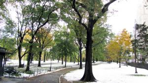 Hetki New Yorkissa. Kuva: Nina Varis