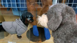 Hetki New Yorkissa. Kuva: Nina Varis