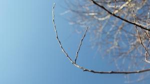 Sulje silmät ja ota lämpökylpy. Kuva: Ada Pykäläniemi Sulje silmät ja ota lämpökylpy. Kuva: Ada Pykäläniemi