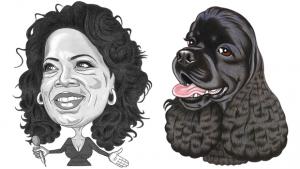 Katso koiraasi - näet itsesi! Kuva: Tommi Vuorinen