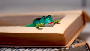 Kauniit kannet kätkevät sisäänsä aarteen. Kuva: Kati Tavilampi