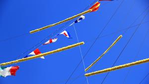 Kaikki paitsi purjehdus on turhaa. Kuva: Siiri Huttunen, Yle Olotila