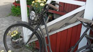 Romu ja ruoste kaunistavat kesäpihat. Kuva: Marjo Lundvall, Yle